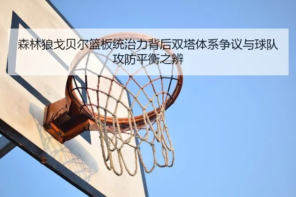 森林狼戈贝尔篮板统治力背后双塔体系争议与球队攻防平衡之辨