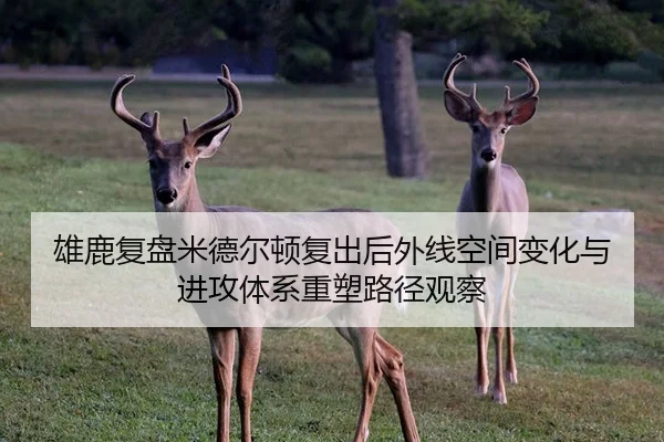 雄鹿复盘米德尔顿复出后外线空间变化与进攻体系重塑路径观察