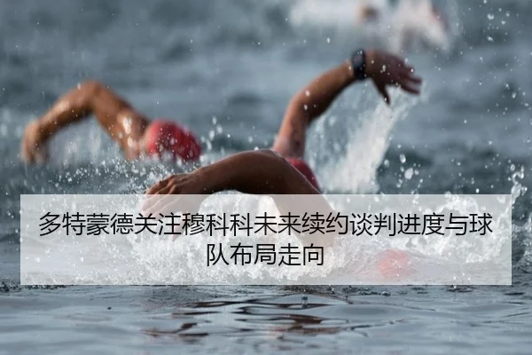 多特蒙德关注穆科科未来续约谈判进度与球队布局走向